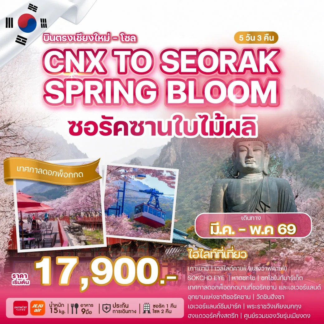 ทัวร์เกาหลี บินตรงเชียงใหม่ CHIANG MAI TO SEORAK SPRING BLOOM 5วัน 3คืน (7C,ZE)