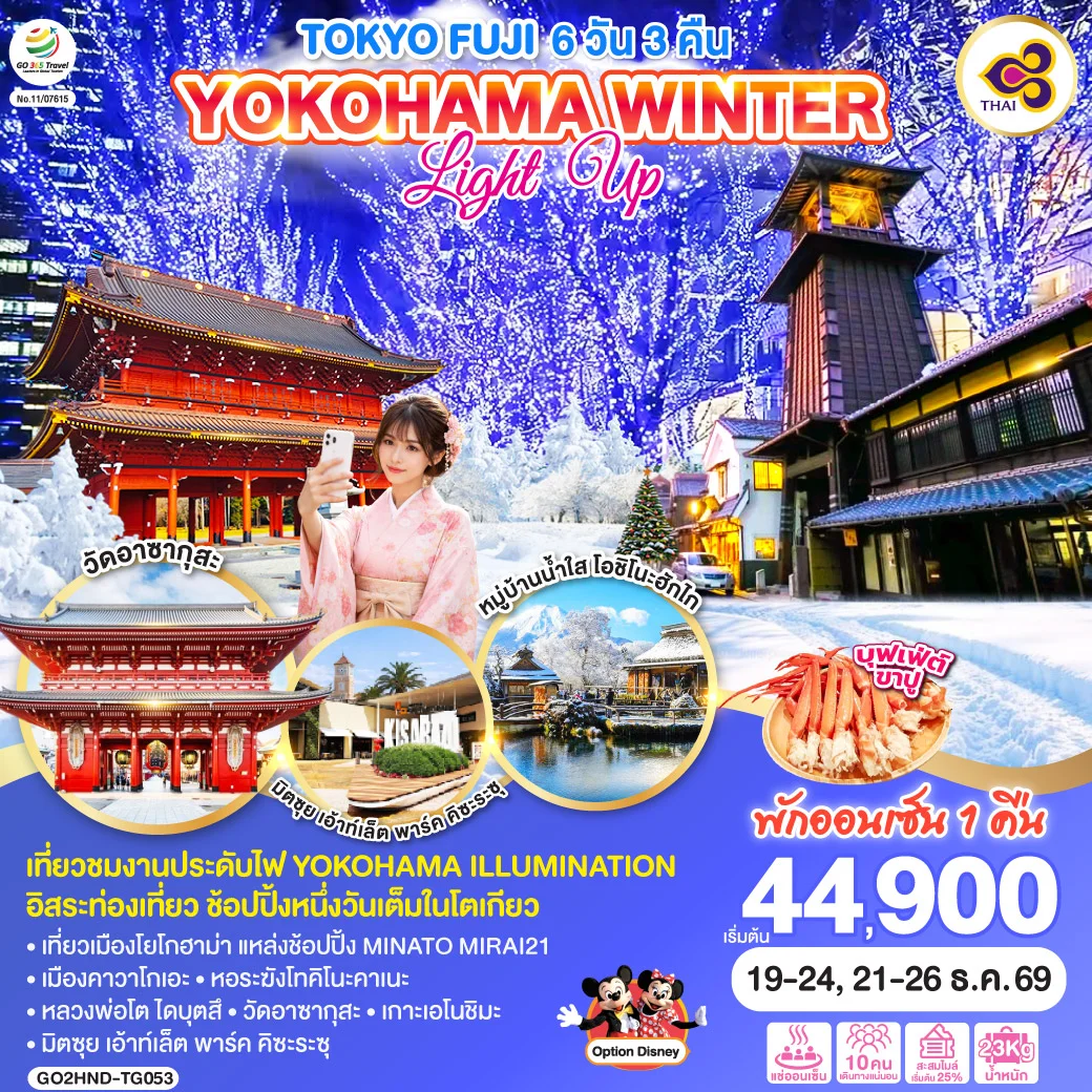 ทัวร์ญี่ปุ่น TOKYO FUJI YOKOHAMA WINTER LIGHT UP 6วัน 3คืน (TG)